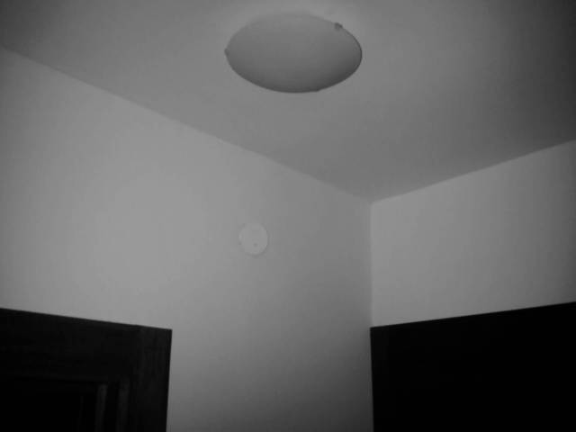 IMG03979-20130128-1853