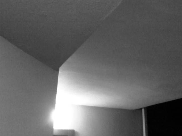 IMG03983-20130128-1855