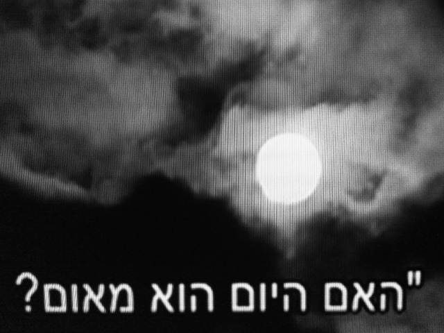 IMG03987-20130128-1915