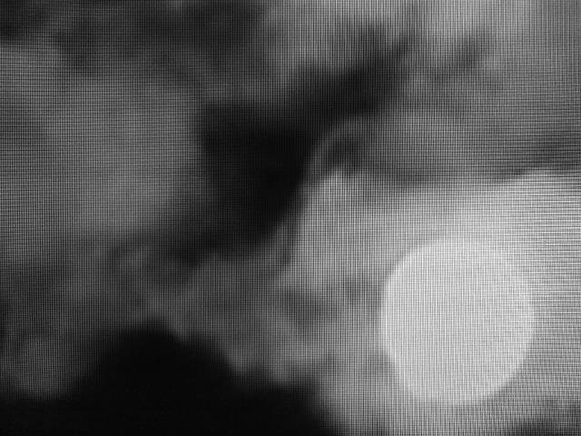 IMG03988-20130128-1915