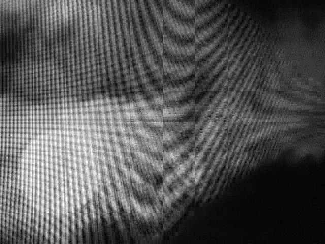 IMG03990-20130128-1915