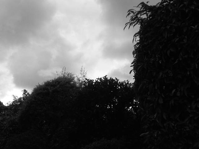 IMG03999-20130129-1458