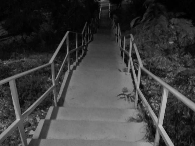 IMG03461-20121220-2101