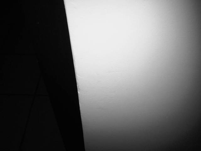 IMG04021-20130130-0103