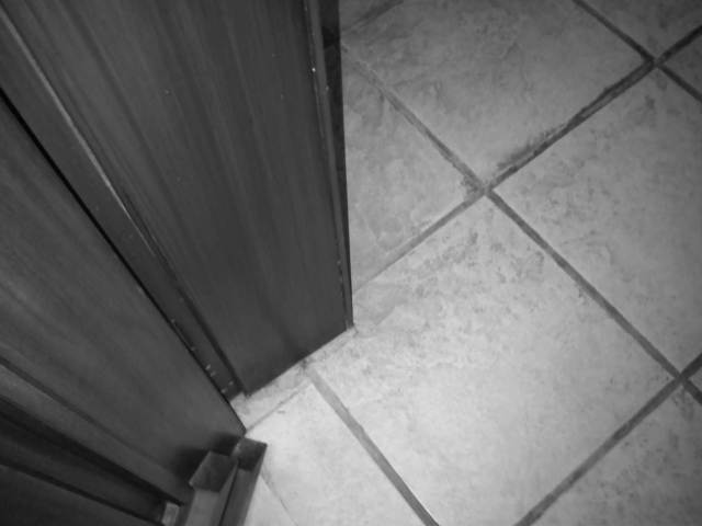 IMG04022-20130130-0104