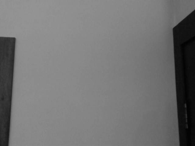 IMG04023-20130130-0104