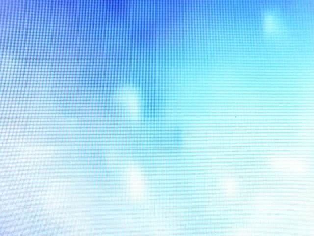 IMG04174-20130201-2240