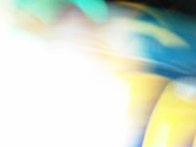 IMG04179-20130201-2242