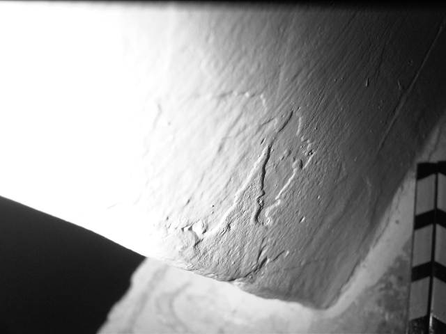 IMG04221-20130202-0157