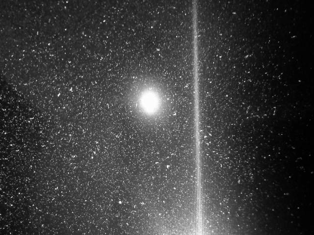 IMG04255-20130202-1828