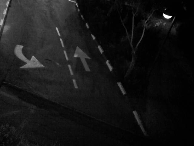 IMG03873-20130120-1800