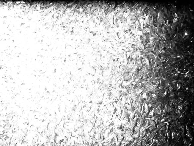 IMG04238-20130202-0204