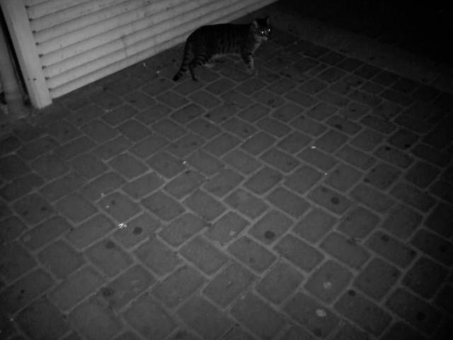 IMG04400-20130213-2307