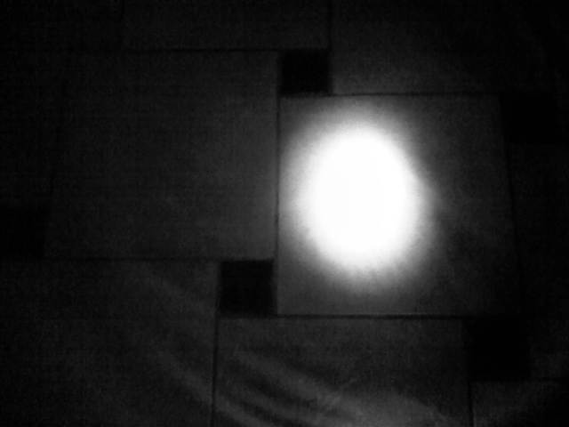 IMG04443-20130215-2359