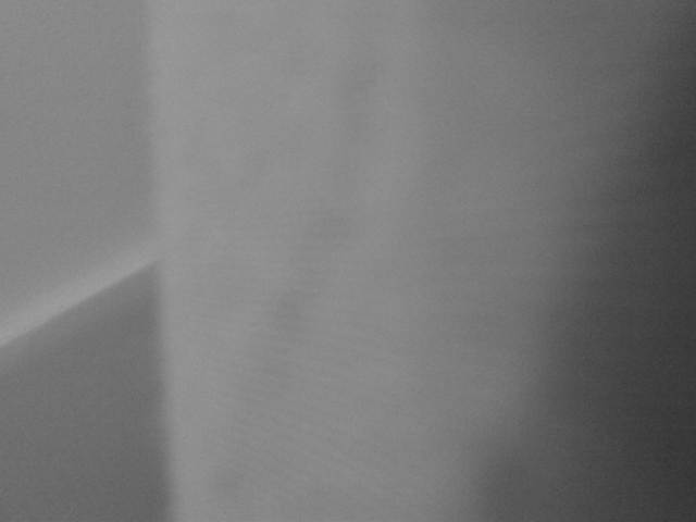 IMG04460-20130217-1814