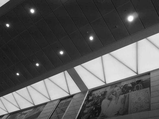 IMG04550-20130224-1615