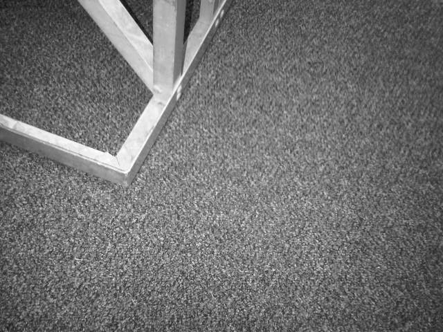 IMG04584-20130228-1254