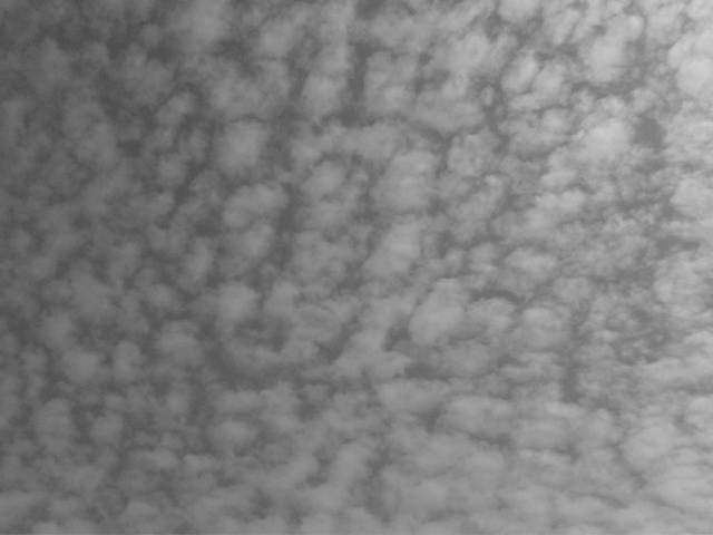 IMG04641-20130303-1405