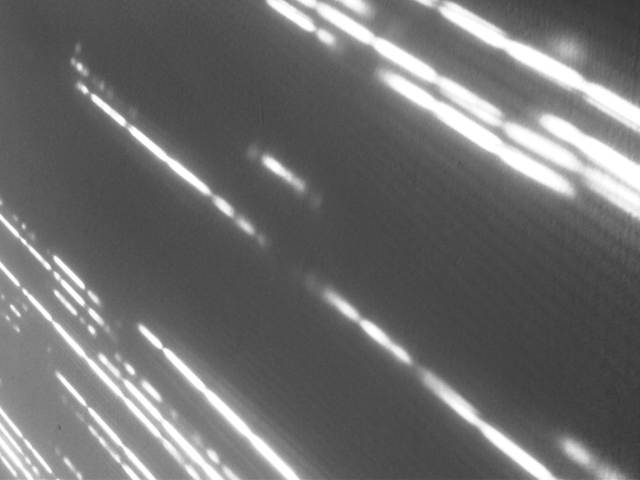 IMG04677-20130308-1535