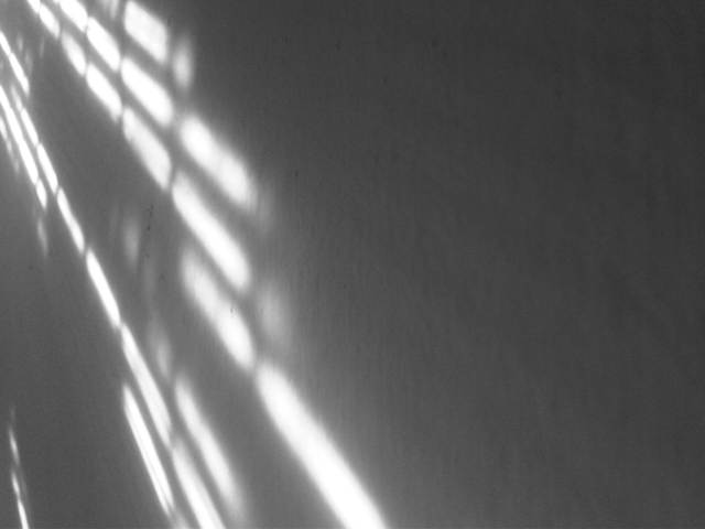 IMG04680-20130308-1536