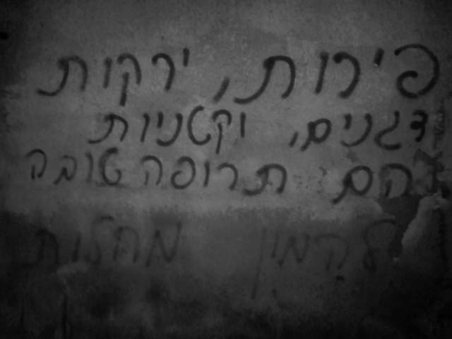 IMG04728-20130314-0017